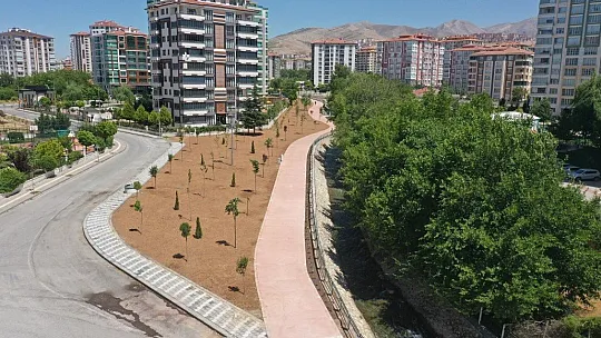 Çalışmaları inceledi