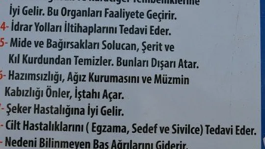 İçmelere yoğun ilgi