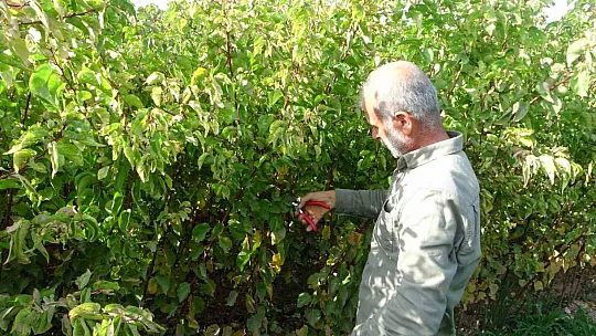 Malatya'da işçi bulunamıyor