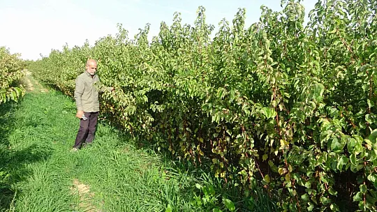 Malatya'da işçi bulunamıyor