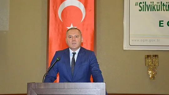 Ormanların yüzde 28'i verimli