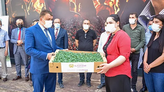 Çiftçilere fide desteği