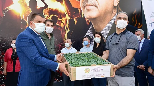 Çiftçilere fide desteği