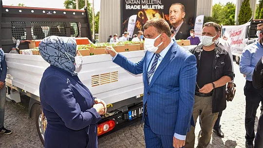 Çiftçilere fide desteği