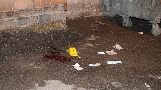İki günde iki kişiyi vurdu