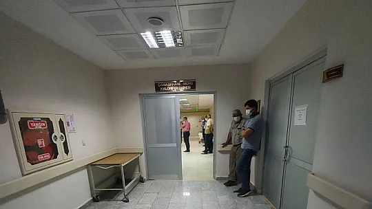 Annesini kurtarmaya çalışırken hayatını kaybetti