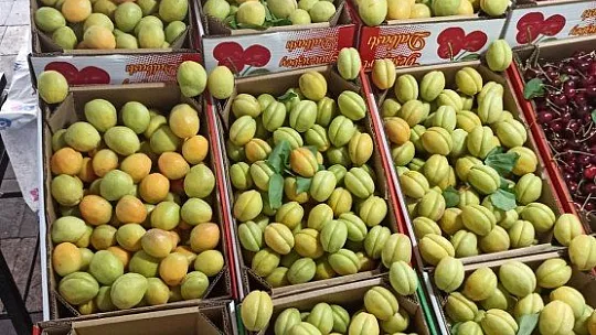 Kayısı cep yakıyor