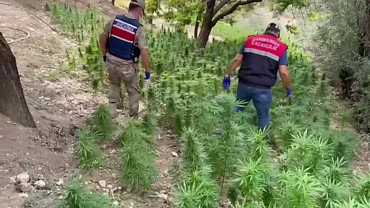 Esrar ele geçirildi