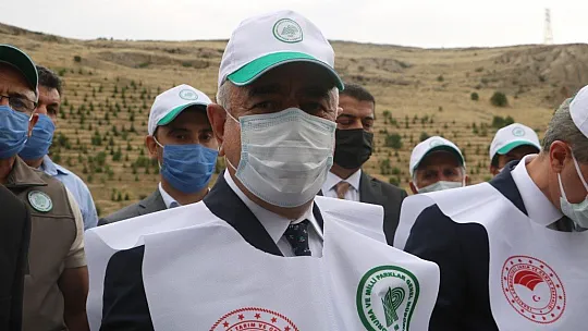 Keklikler doğaya salındı