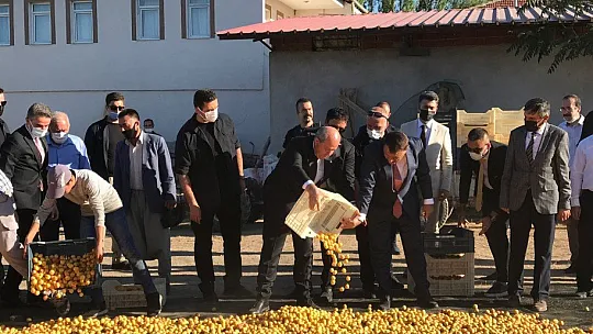 Cumhurbaşkanı kayısı serdi