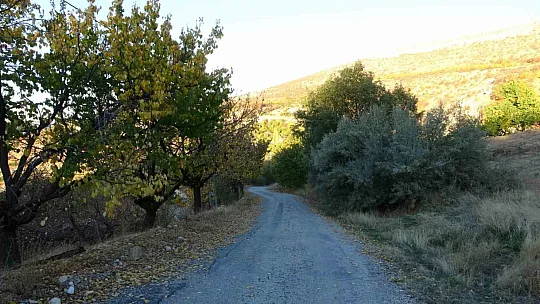 Levent Vadisi sonbaharda göz kamaştırıyor