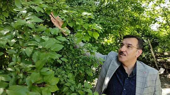 Devlet terörünü lanetliyoruz