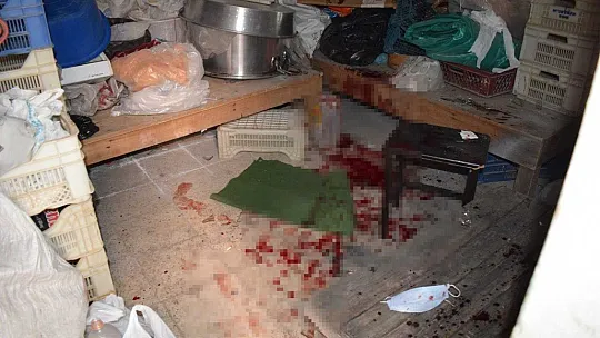 Oğlunu ağır yaraladı