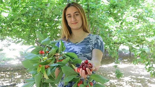 Rekolte düşüklüğü düşündürüyor