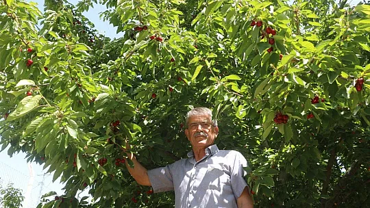 Rekolte düşüklüğü düşündürüyor