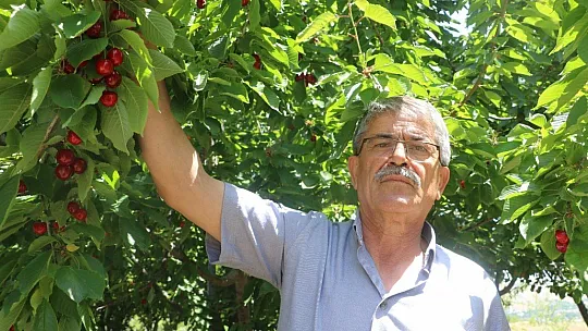 Rekolte düşüklüğü düşündürüyor