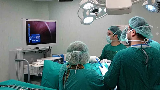 Üç farklı alanda hastalara umut oluyor