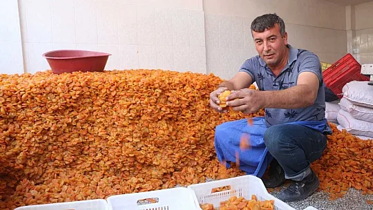 Kayısı fiyatı rekor kırdı