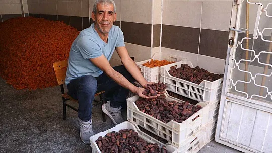 Kayısı fiyatı rekor kırdı