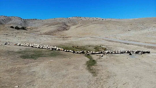 Eve dönüş yolculuğu başladı