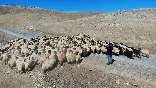 Eve dönüş yolculuğu başladı