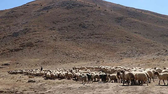 Eve dönüş yolculuğu başladı