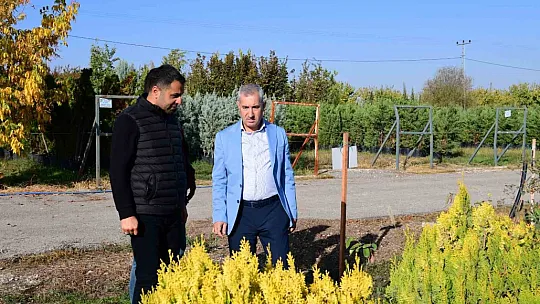 Yeşilyurt Beylerderesi yeşillenecek