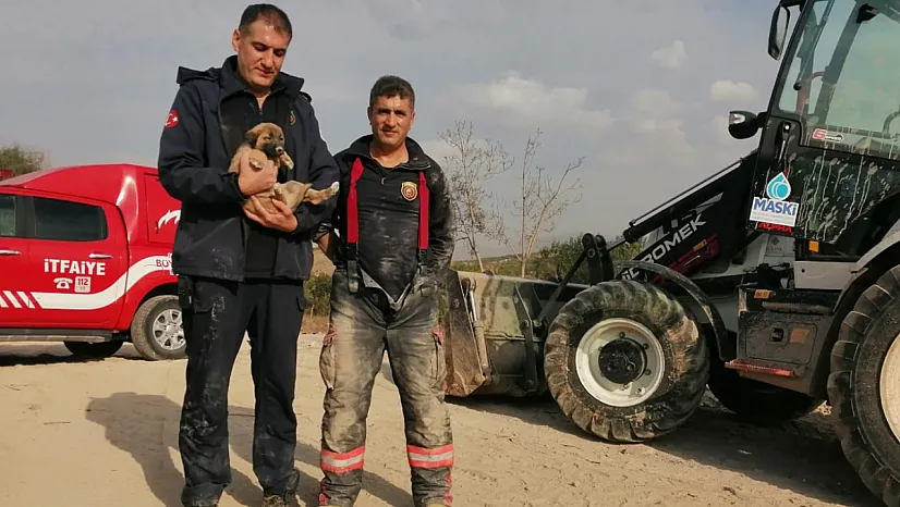 Enkazda mahsur kalan köpek kurtarıldı