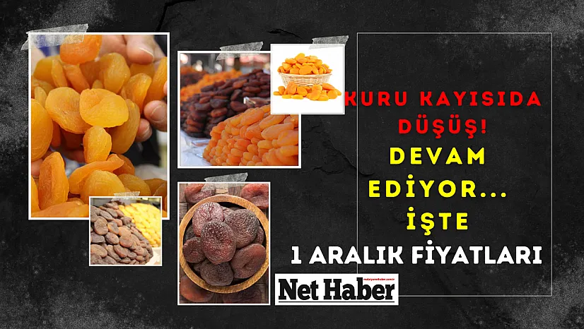 Kuru kayısıda düşüş devam ediyor! İşte 1 Aralık fiyatları...