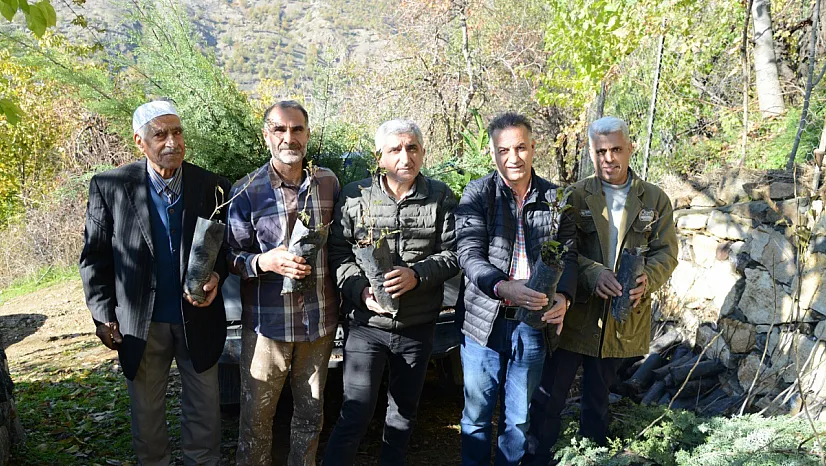 Üreticilere fidan desteği