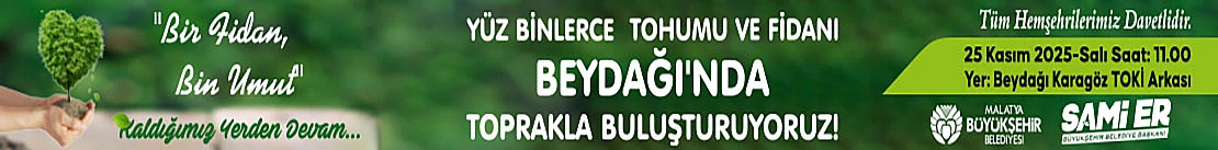 Büyükşehir Ağaçlandırma Kasım 2025