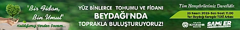 Büyükşehir Ağaçlandırma Kasım 2025